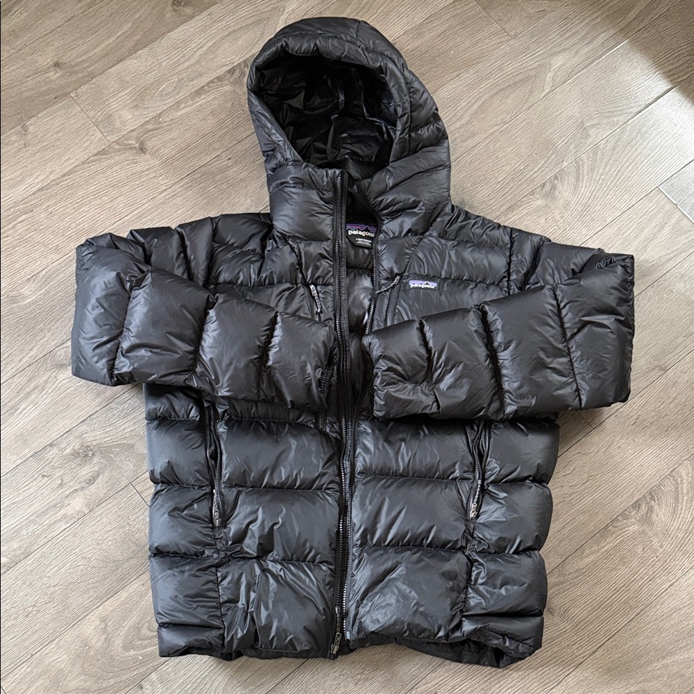 Patagonia Mens Fitz Roy Down Hoody
